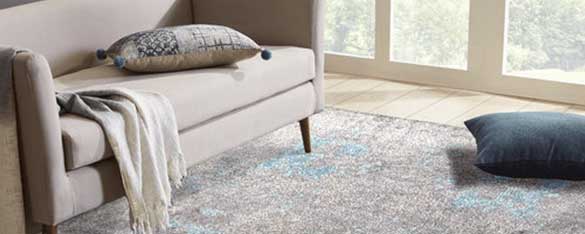 shag carpet & rug